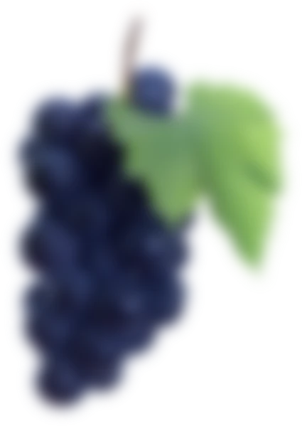 Image title