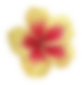 Image title
