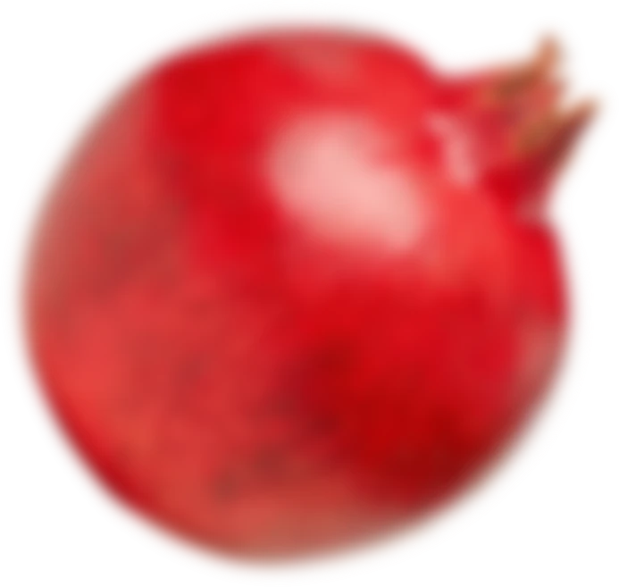Image title