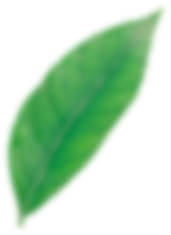 Image title