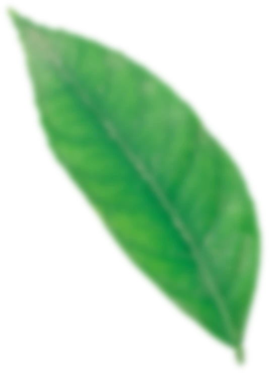 Image title