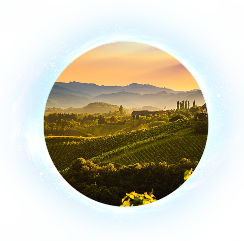 Kelionės į Toskaną